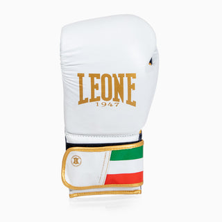 Boxing gloves Leone Italy GN039 