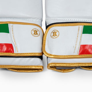 Boxing gloves Leone Italy GN039 