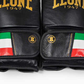 Boxing gloves Leone Italy GN039 