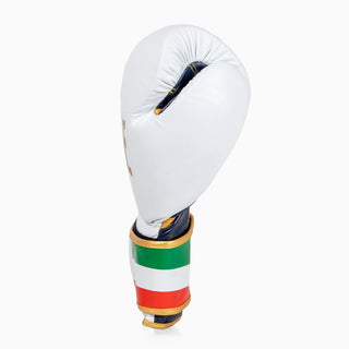Boxing gloves Leone Italy GN039 