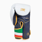 Boxing gloves Leone Italy GN039 