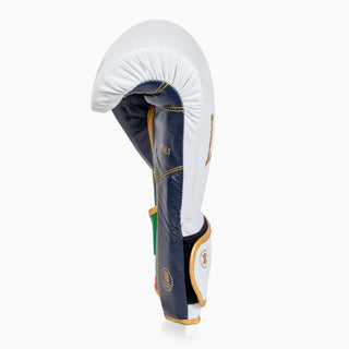 Boxing gloves Leone Italy GN039 