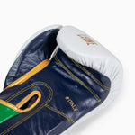 Boxing gloves Leone Italy GN039 