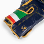 Boxing gloves Leone Italy GN039 
