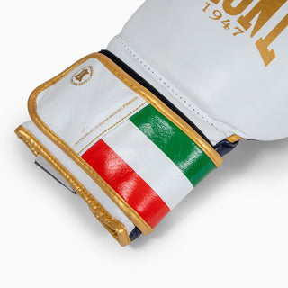 Boxing gloves Leone Italy GN039 