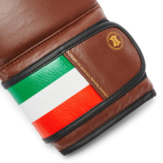 Boxing gloves Leone Italy GN039 