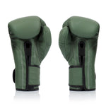 Thai boxing gloves Fairtex BGV11 F-Day 