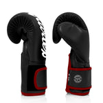 Thai boxing gloves Fairtex BGV14 Black 