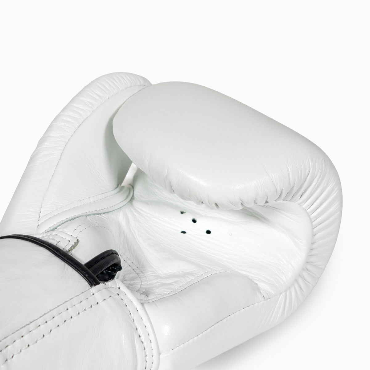 Thai boxing gloves Fairtex BGV1 White – Combat Arena