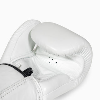 Thai boxing gloves Fairtex BGV1 White 