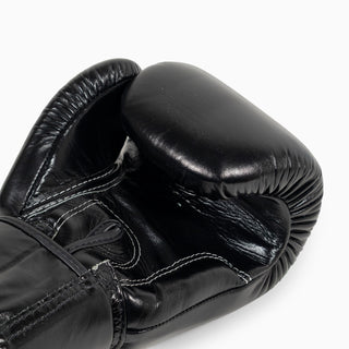 Thai boxing gloves Fairtex BGV1 Black 