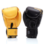 Thai boxing gloves Fairtex BGV26 Harmony Six 
