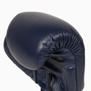 Thai boxing gloves Twins Special BGVL3 Blue