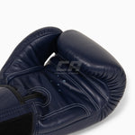 Thai boxing gloves Twins Special BGVL3 Blue