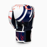 Thai boxing gloves Twins Special FBGVL 4 Yant 