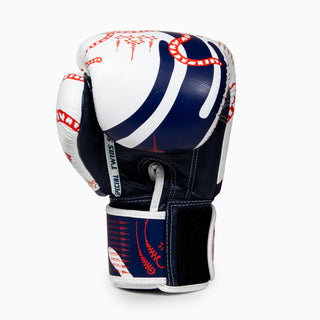 Thai boxing gloves Twins Special FBGVL 4 Yant 