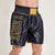 Pantaloncini boxe Leone DNA Premium AB233 Blu-Combat Arena