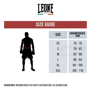 Boxing shorts Leone Black Lion AB244 