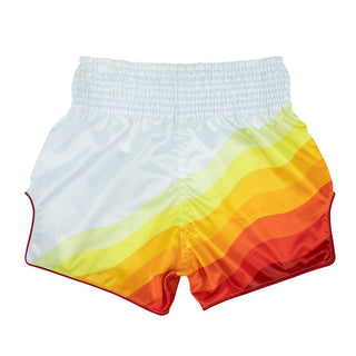 Kick-thai shorts Fairtex BS1932 Spectrum