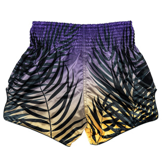 Kick-thai shorts Fairtex BS1941 Dawn