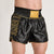 Shorts kick-thai Leone DNA Premium AB969 Black 