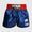 Kick-thai shorts Venum Muay Thai Classic 