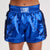 Shorts kick WAKO Leone AB996 Blue 