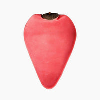 Inner Tube Replacement Speed ball Cleto Reyes