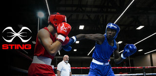 Boxing gloves Sting Competition Approved World Boxing Red