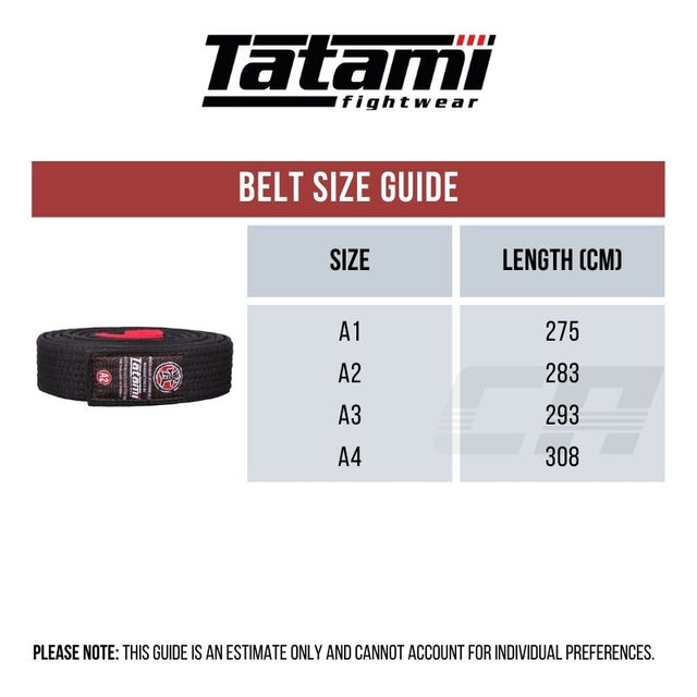 BJJ Belt Tatami Combat Arena