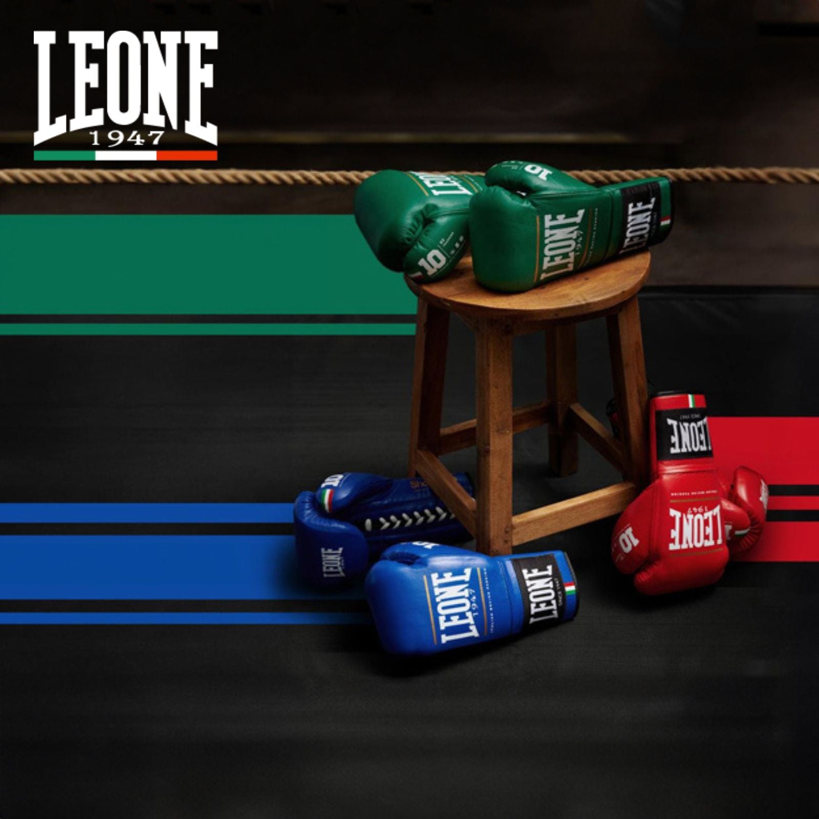 Leone 1947 Sports - Combat Arena