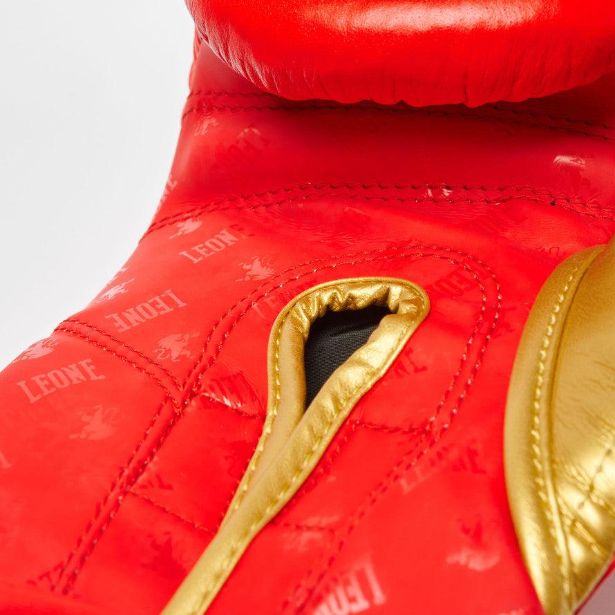 Boxing gloves Leone DNA GN220
