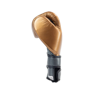 Boxing gloves Cleto Reyes Hero Double Loop CE5 Bronze 