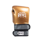 Boxing gloves Cleto Reyes Hero Double Loop CE5 Bronze 