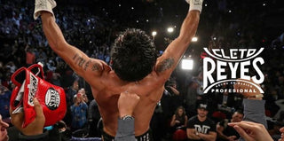 Inner Tube Replacement Double end bag round Cleto Reyes 