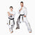 Professional Kata Karategi Ko Italia 