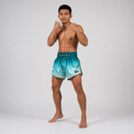 Kick-thai shorts Fairtex BS1906 Fade Green