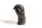 SAP Point Fighting Raptor Semi Contact Gloves